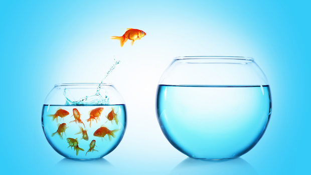 Image for Time for a Career Change? Factors to Consider